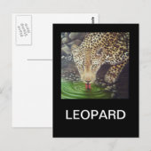 Afrikanischer Leopard Postkarte (Vorne/Hinten)