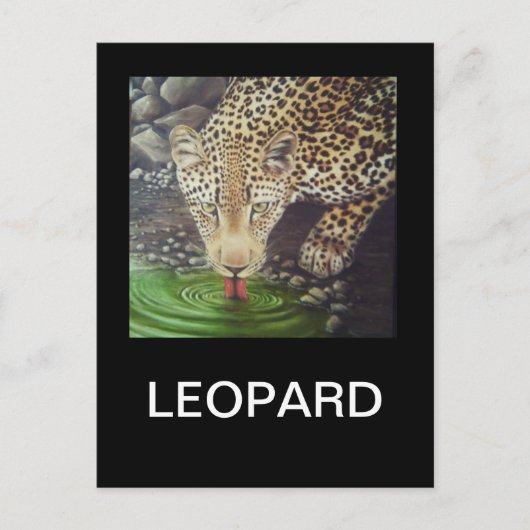 Afrikanischer Leopard Postkarte (Vorderseite)