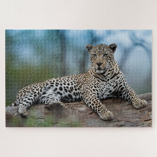 Afrikanischer Leopard Wildkatze Tierart Puzzle (Horizontal)