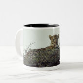Afrikanischer Leopard Zweifarbige Tasse (Vorderseite Links)