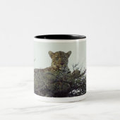 Afrikanischer Leopard Zweifarbige Tasse (Mittel)