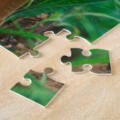 Afrikanischer Lilie (Agapanthus Praecox), Mala Mal Puzzle (Seite)