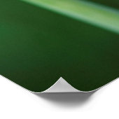 Afrikanischer Lily, Agapanthus Praecox, Kapstadt Poster (Ecke)