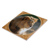 Afrikanischer Löwe 6775e11x11fram-b Fliese (Seite)