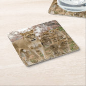 Afrikanischer Löwe CUB mit Mutter Rechteckiger Pappuntersetzer (angewinkelt)