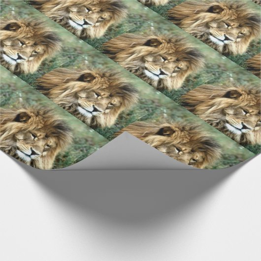 Afrikanischer Löwe Geschenkpapier (Ecke)