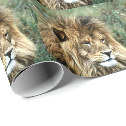 Afrikanischer Löwe Geschenkpapier (Rolleneckpunkt)
