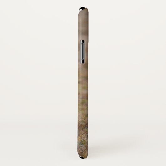 Afrikanischer Löwe im Gras Case-Mate iPhone Hülle (Hinten/Rechts)