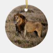 Afrikanischer Löwe im Gras Keramik Ornament (Vorne)