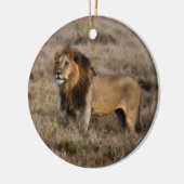 Afrikanischer Löwe im Gras Keramik Ornament (Links)