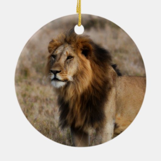 Afrikanischer Löwe im Gras Keramik Ornament (Hinten)