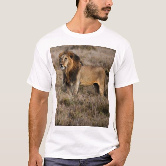 Afrikanischer Löwe im Gras T-Shirt (Vorderseite)