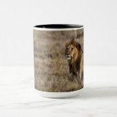 Afrikanischer Löwe im Gras Tasse (Zentrum)