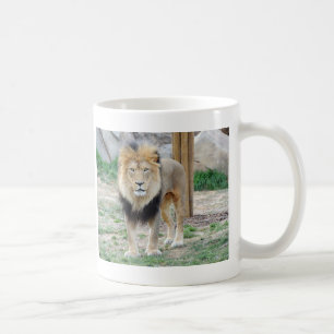 Afrikanischer Löwe Kaffeetasse