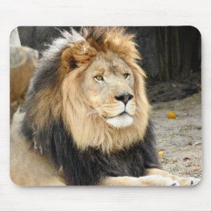 Afrikanischer Löwe Mousepad