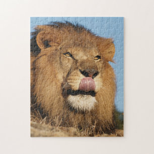 Afrikanischer Löwe (Panthera Leo), Afrikanische Sa Puzzle