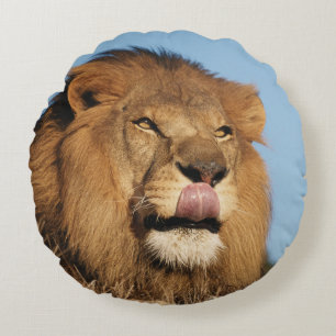 Afrikanischer Löwe (Panthera Leo), Afrikanische Sa Rundes Kissen