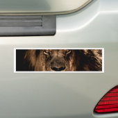 Afrikanischer Löwenmane nahe Augen Autoaufkleber (Auf Auto)