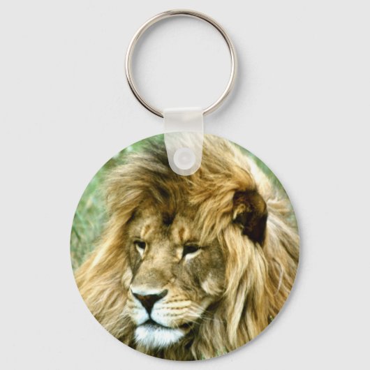 Afrikanischer Männlicher Lion Schlüsselanhänger (Vorderseite)