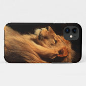 Afrikanischer männlicher Löwe iphone Fall durch Case-Mate iPhone Hülle (Rückseite (Horizontal))