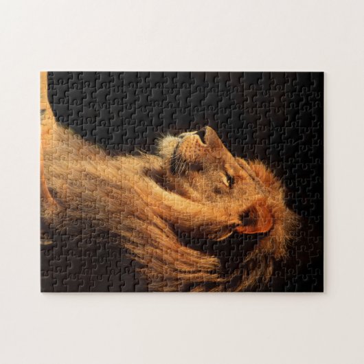 Afrikanischer männlicher Löwe; Tier-Puzzlespiele Puzzle (Horizontal)