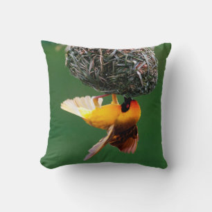 Afrikanischer Maskenweber (Ploceus Velatus) Kissen
