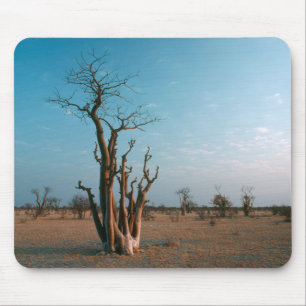 Afrikanischer Moringo-Baum auf der Ebene, Etosha-N Mousepad