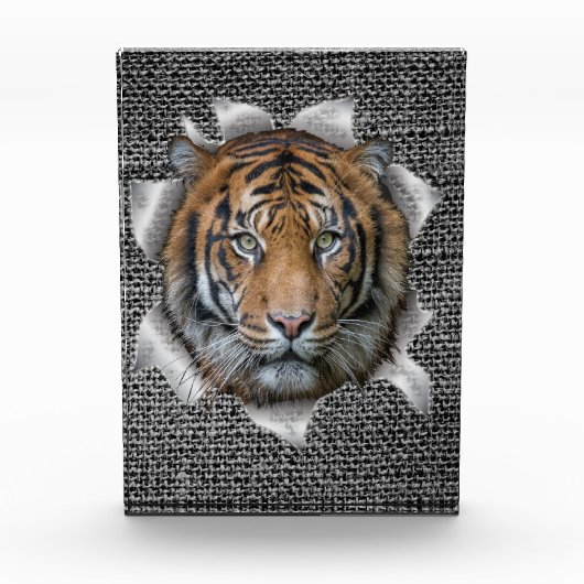 Afrikanischer oder indischer Wildlife Joke Fotoblock (Vorderseite)