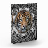 Afrikanischer oder indischer Wildlife Joke Fotoblock (Links)
