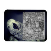 Afrikanischer Papagei-Rahmen hinzufügen Foto Magnet (Horizontal)