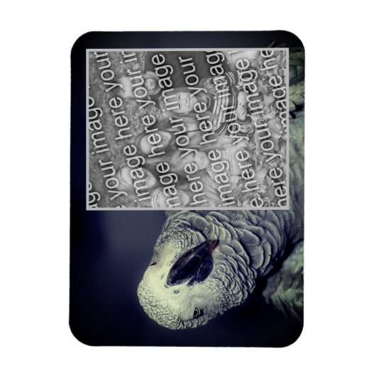 Afrikanischer Papagei-Rahmen hinzufügen Foto Magnet (Vertikal)