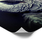 Afrikanischer Papagei-Rahmen hinzufügen Foto Poster (Ecke)