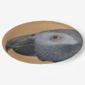 Afrikanischer Papagei-Teller Pappteller (Schrägansicht)