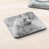 Afrikanischer Pavian Untersetzer (Linke Seite)