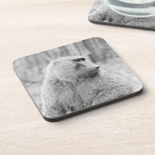 Afrikanischer Pavian Untersetzer (Linke Seite)