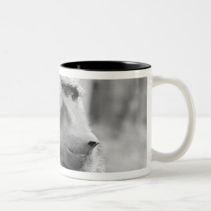 Afrikanischer Pavian Zweifarbige Tasse
