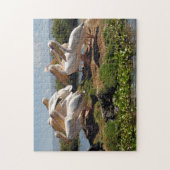 Afrikanischer Pelikan Puzzle (Vertikal)