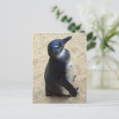 afrikanischer Penquin Postkarte (Stehend Vorderseite)