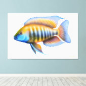 Afrikanischer Pfauenfisch Cichlid Fisch gepeitscht Leinwanddruck (Insitu (Holzboden))