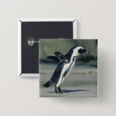 Afrikanischer Pinguin Button (Vorne & Hinten)