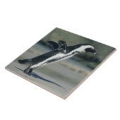 Afrikanischer Pinguin Fliese (Seite)