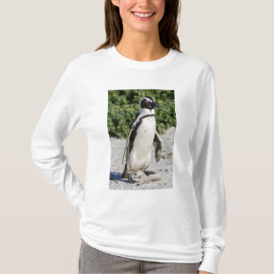 Afrikanischer Pinguin, früher bekannt als Esel T-Shirt