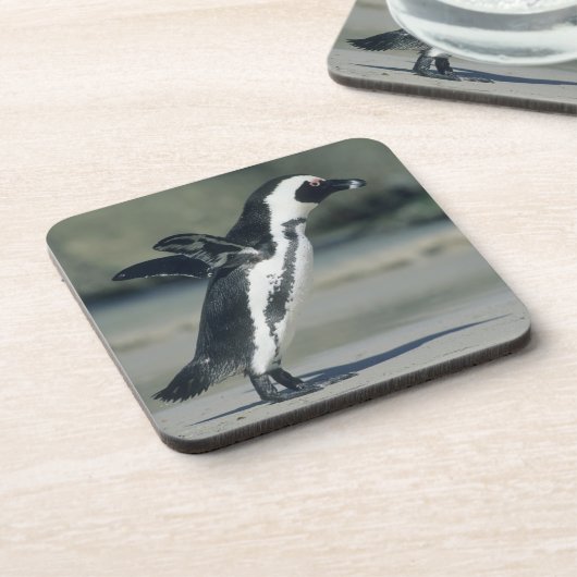 Afrikanischer Pinguin Getränkeuntersetzer (Linke Seite)