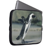Afrikanischer Pinguin Laptopschutzhülle (Vorne Rechts)