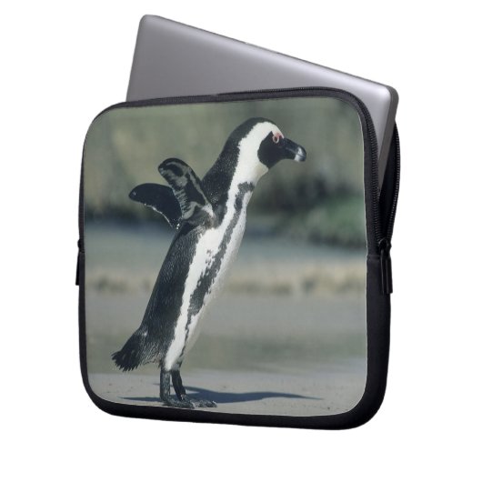 Afrikanischer Pinguin Laptopschutzhülle (Vorderseite Links)