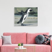 Afrikanischer Pinguin Leinwanddruck (Insitu (Wohnzimmer))