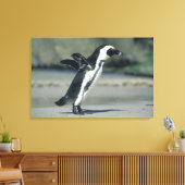 Afrikanischer Pinguin Leinwanddruck (Insitu (Wohnzimmer))