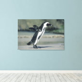 Afrikanischer Pinguin Leinwanddruck (Insitu (Holzboden))