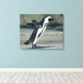 Afrikanischer Pinguin Leinwanddruck (Insitu (Holzboden))