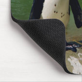 Afrikanischer Pinguin Mousepad (Ecke)